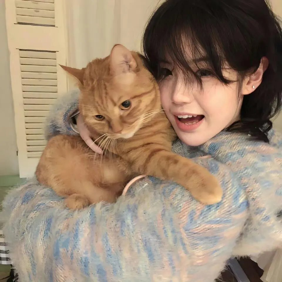 大块头有大智慧粤语